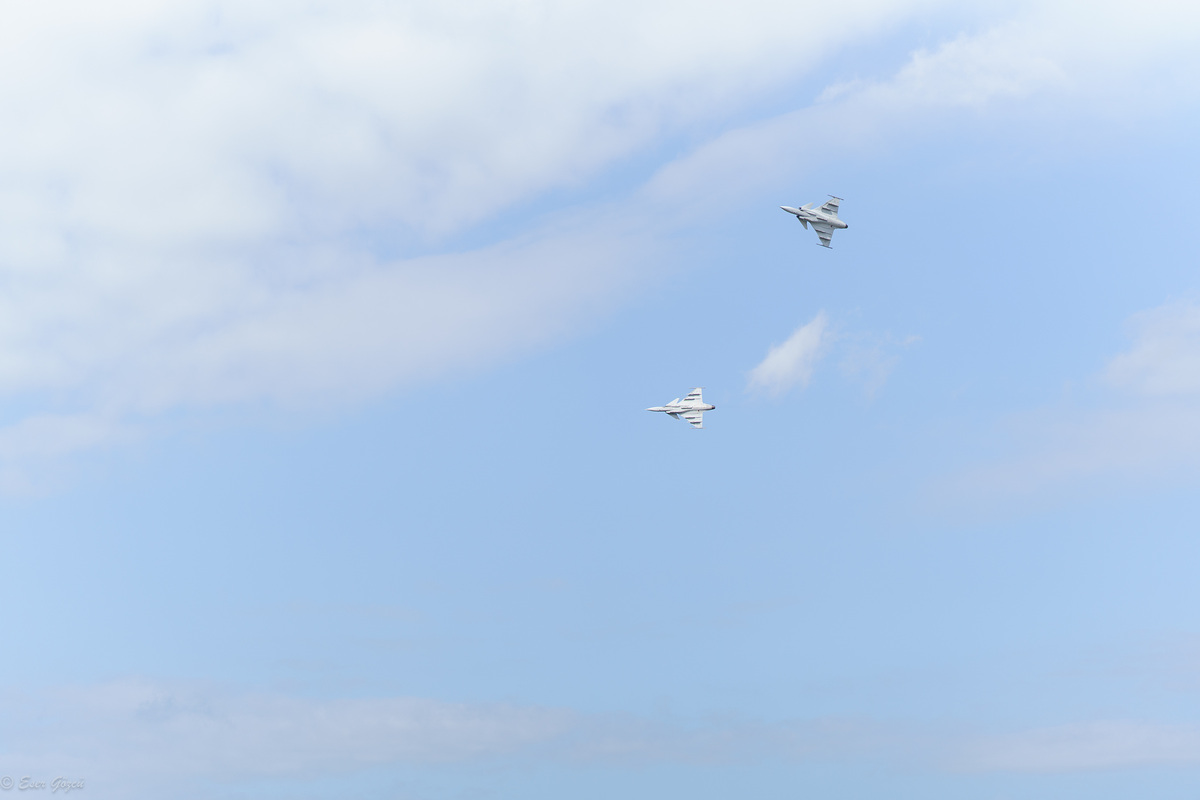 flygdag 2024