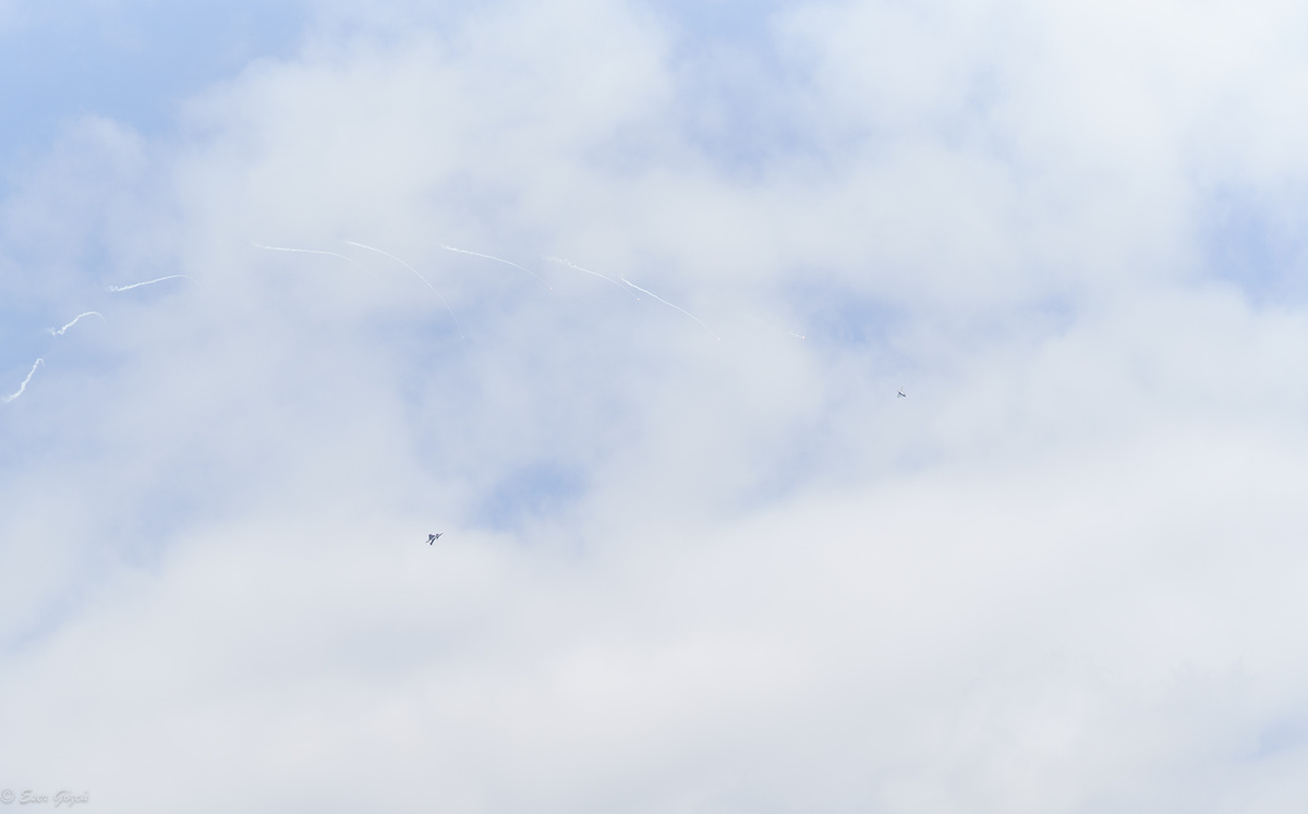 flygdag 2024