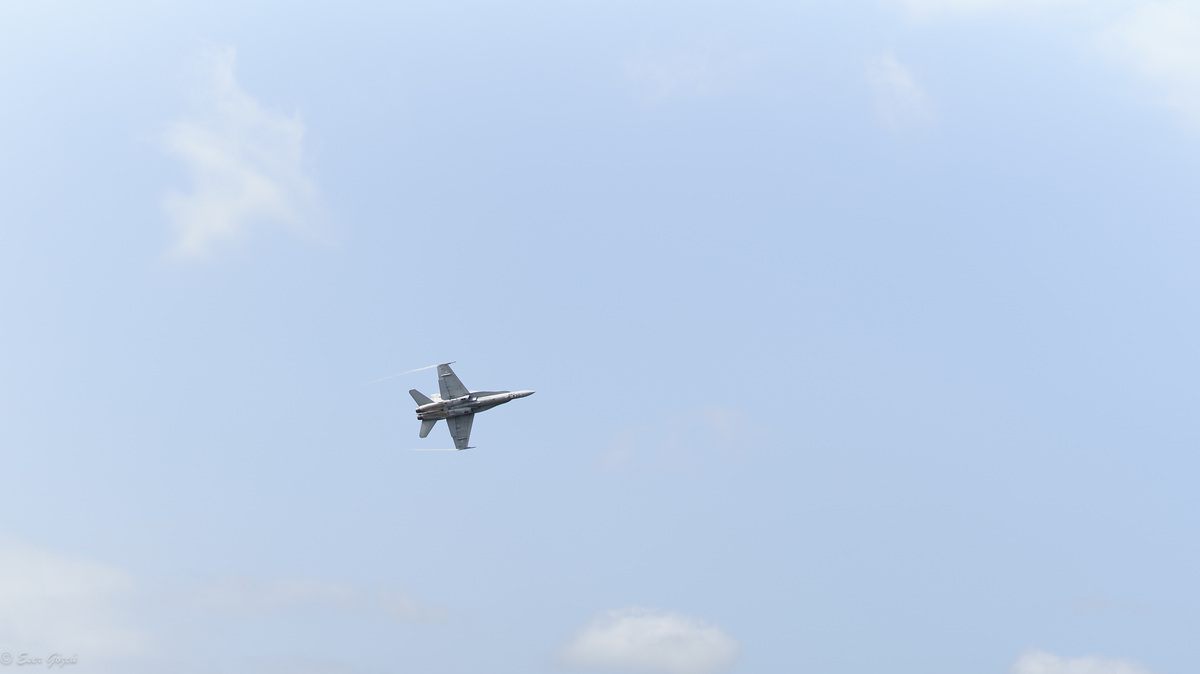 flygdag 2024