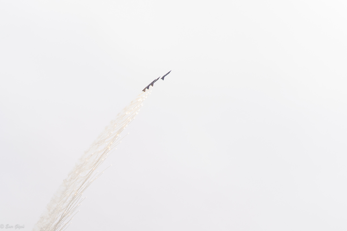 flygdag 2024